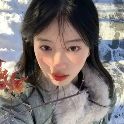 苏杏柏